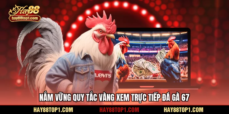 Nắm vững quy tắc vàng xem trực tiếp đá gà 67